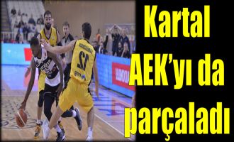 Kartal Yunanistan'da parçaladı