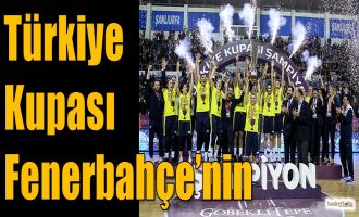 Türkiye Kupası Fenerbahçe'nin